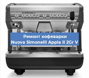 Чистка кофемашины Nuova Simonelli Appia II 2Gr V от накипи в Челябинске